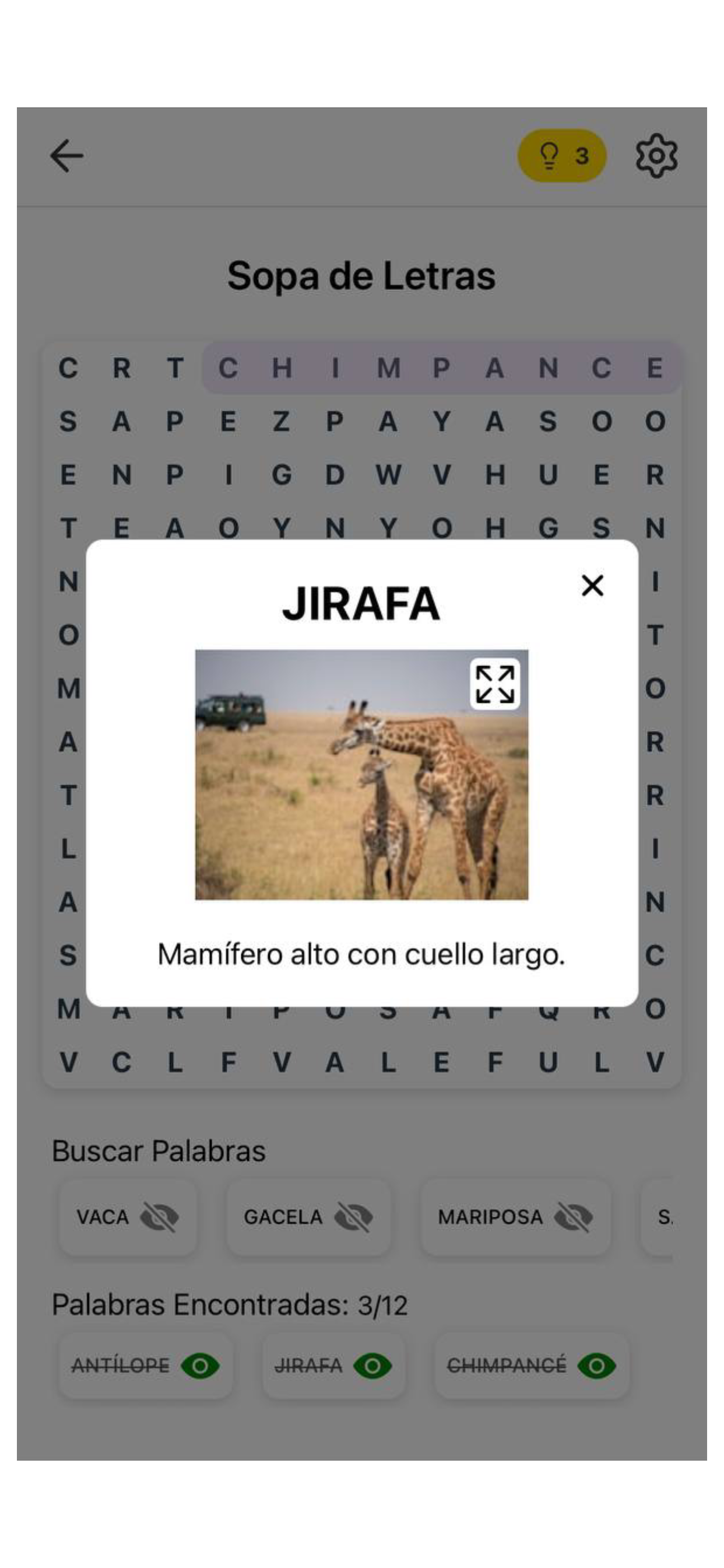 Sopa de letras